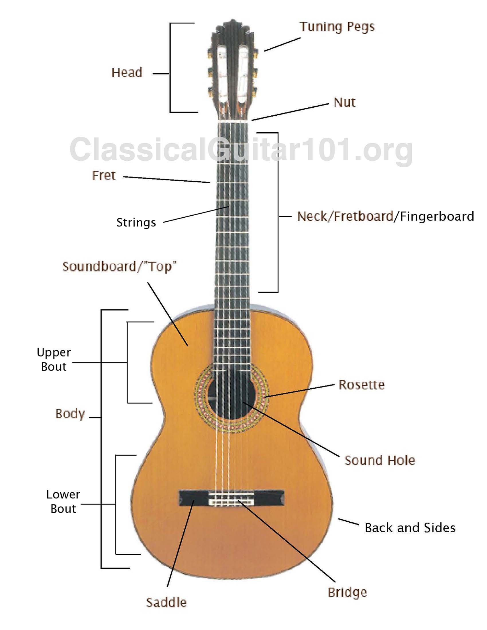 What are the Parts of a Classical Guitar  