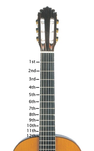 How Many Frets Does a Classical Guitar Have  