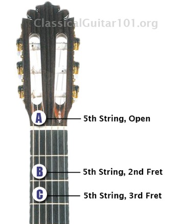 5th fret guitar